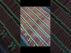 Lampa utwardzająca UV C o wysokiej intensywności OEM, żywotność 20000 godzin do drukarki atramentowej​